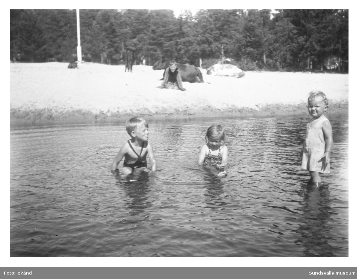 Badstranden i Tranviken. Korna ligger och idisslar och barnen badar. Rolf Dahl siter i sanden och kusinerna Benny Lindqvist, Margareta Lindqvist och Viveca Söderström tar sig ett dopp i det långgrunda vattnet.