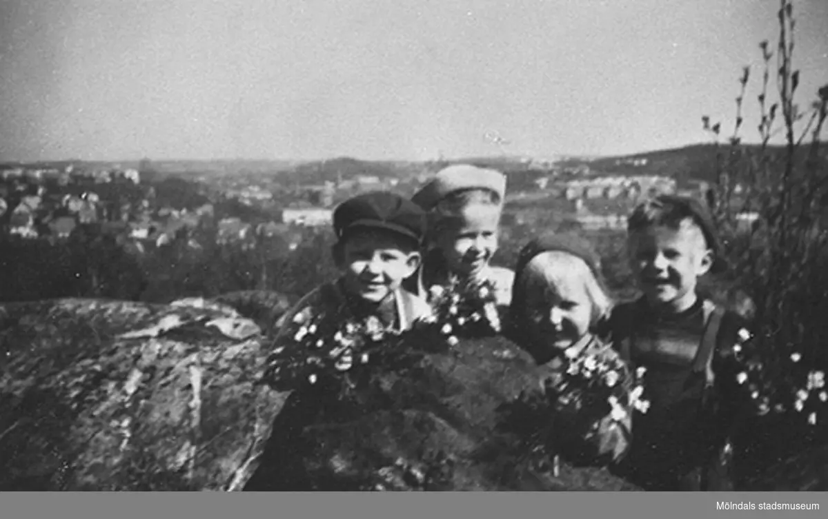 Fyra barn från Krokslätts daghem har plockat vitsippor, troligtvis på Safjället, 1948 - 1951.