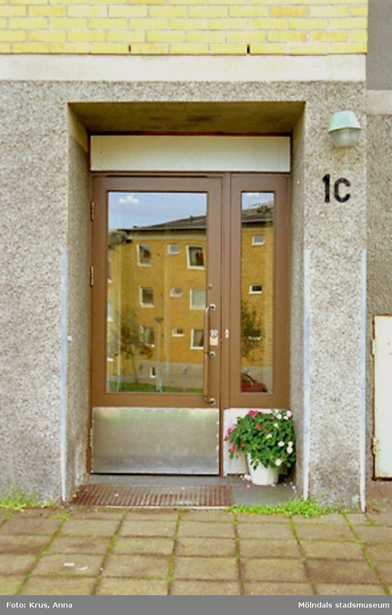 Västra Enerbacken - "Södra " Lövgatan - entré.
Entrédörren målad med brun färg 1998. Dörren var ursprungligen bara betsad.