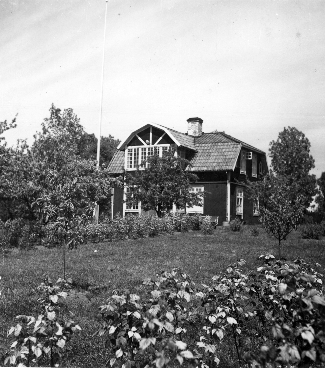 Uppland, Stockholms län, Frötuna skeppslag, Länna socken, Vettershaga. Skeppare Janssons hus. Foto i juni 1950.