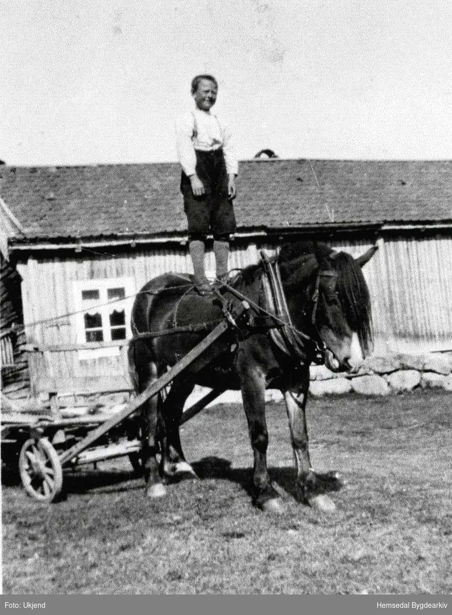 Halvor Hjelmen høgt til hest, ca. 1934