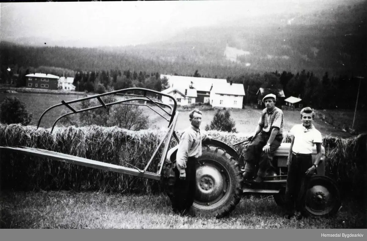 Fôrkøyring på Nedre Trøym, 67.7, sumaren 1951 eller 1952.
Frå venstre: Jeger Trøym, Knut Trøym og Per Erik Sæhle.
Dette var den fyrste Ferguson-traktoren i bygda. Det var også den fyrste traktoren med hydraulisk lyft, såleis også den fyrste med høysvans. Tindane var laga av tremateriale med metallspyd i endane.
Traktoren kjøpte Jeger Trøym hausten 1948. Kjøpesummen var kr.8100,-.
Rett nednfor ser ein gardtunet på Nedre Trøym,67.7.
I bakgrunnen til venstre ser ein Trøym skule som vart bygd i 1938.