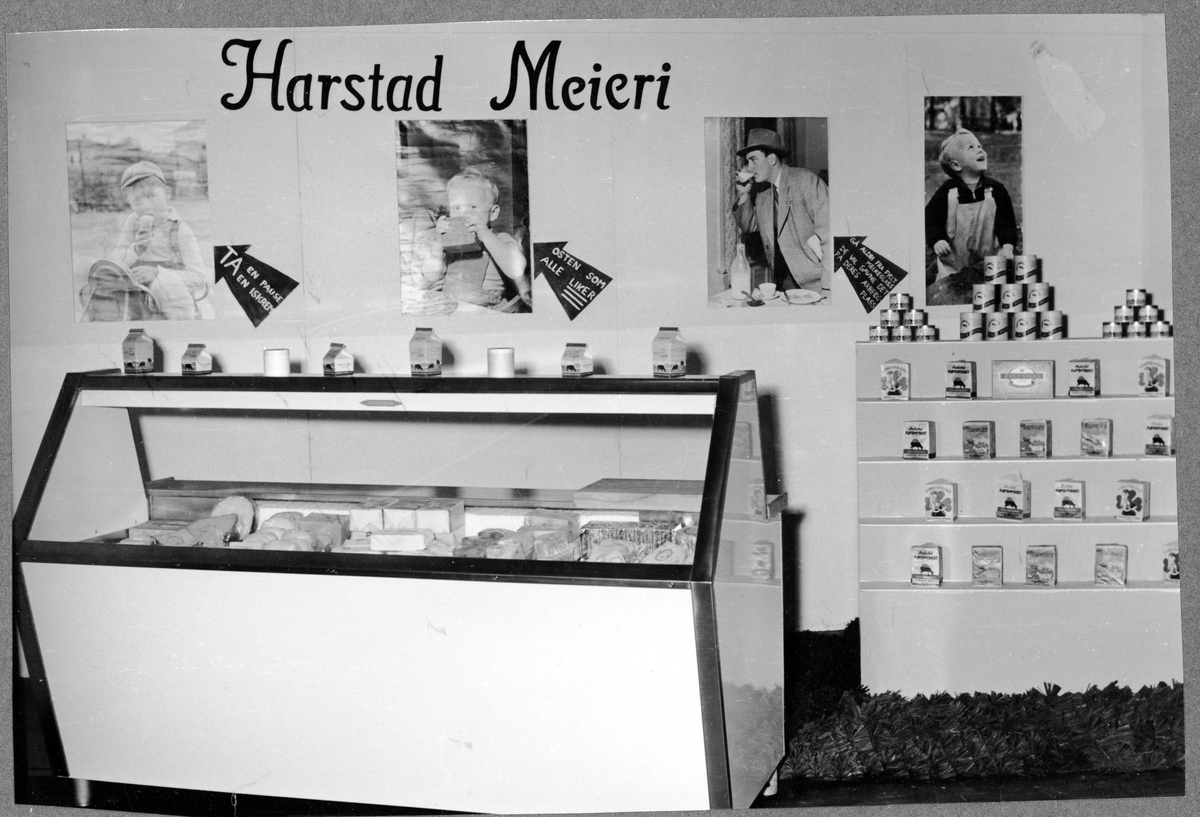 Standen til Harstad Meieri under Harstadmessen i 1953
