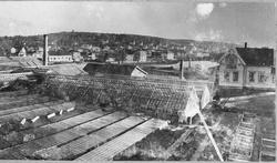 Del av panorama over Chr. Hannestad sitt gartner på Trara. F