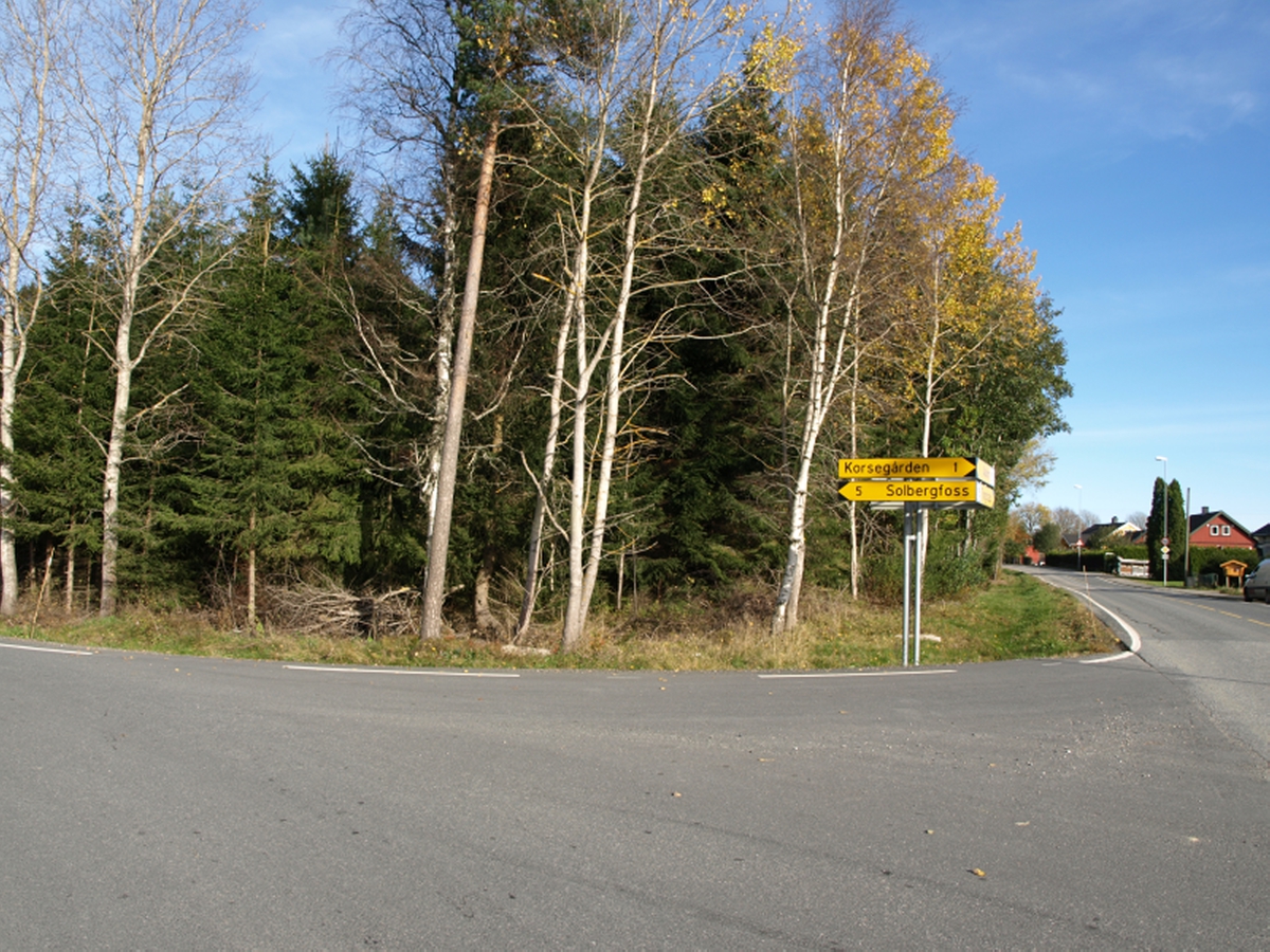 Stedet består i dag av tettbevokst skog. På den vestlige siden av Trippestadveien, til høyre på bildet, begynner bebyggelsen. Foto: Bodil Andersson, Østfoldmuseene/Halden historiske Samlinger.