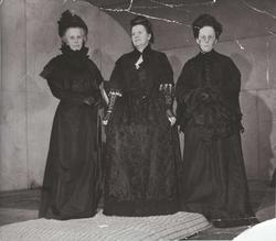 Mote, oppvisning, klær, kjoler, damer, gruppei3,