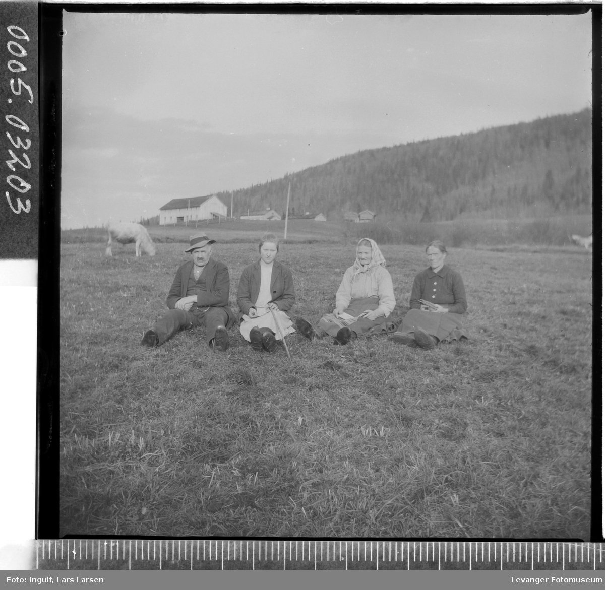 Gruppebilde av tre kvinner og en mann som sitter i en eng.