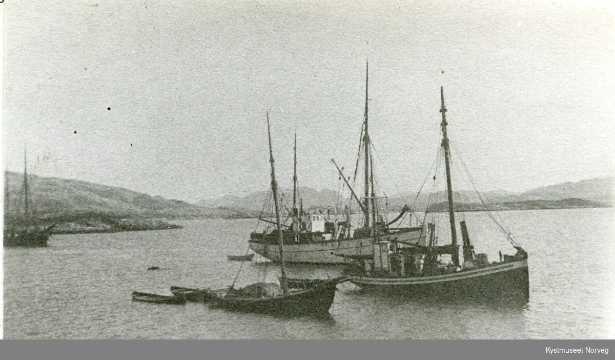 Nærøysundet, Sigvart Fossaa`s fiskebåter