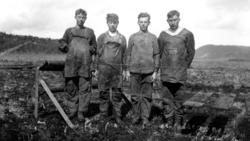 Fra tørkeplassen ved Torvfabrikken på Jøa