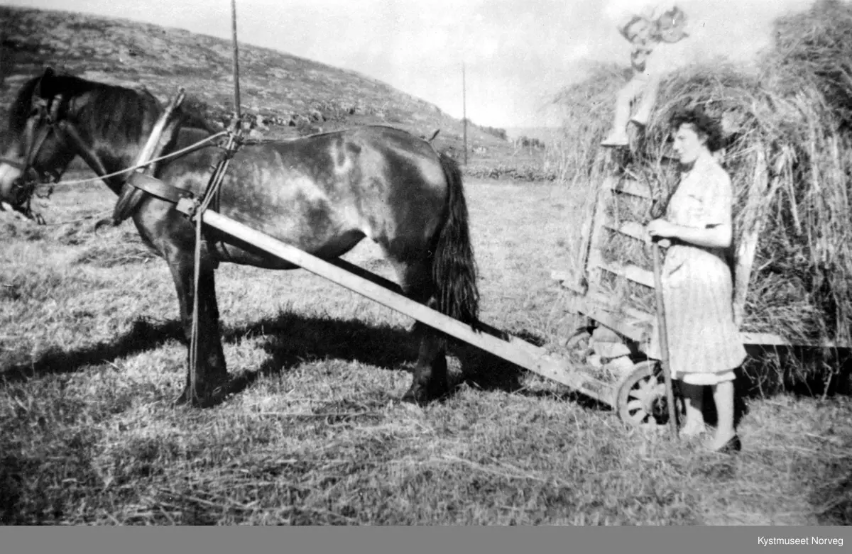 Randi Johansen Williksen, Torbjørg Johnsen Laugen og Elisabeth Fasting sammen med hesten "Vanda"