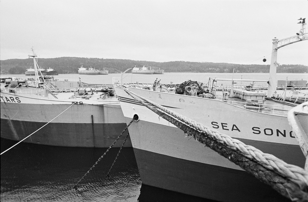 Saléns upplagda supertankers i Byfjorden.