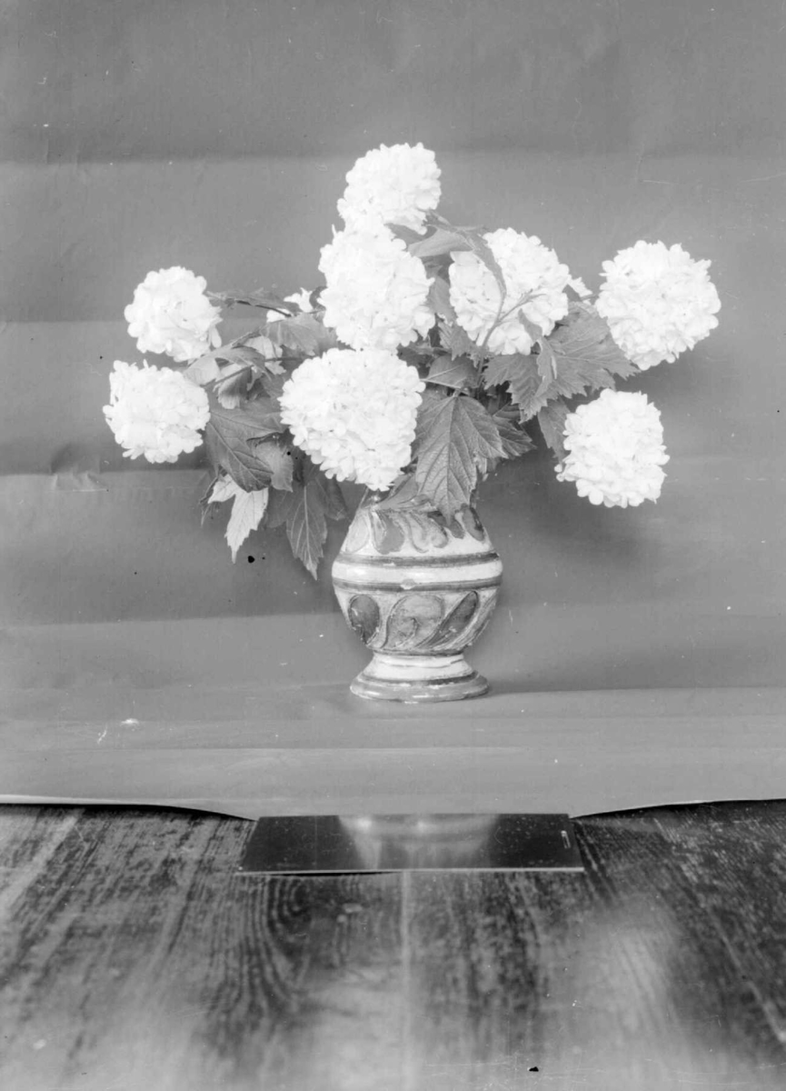 Vase med blomster. Sneballer.