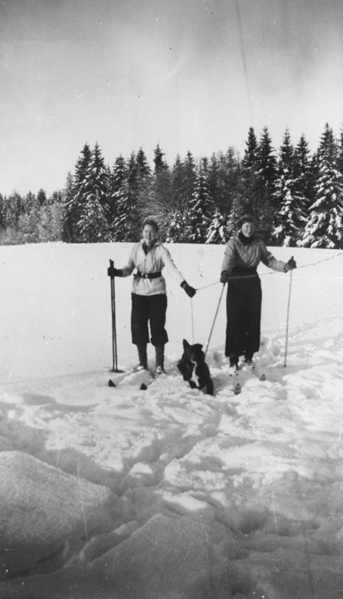 Anne Ødegård og Liv Gjerde. (Ski mot skogen.)