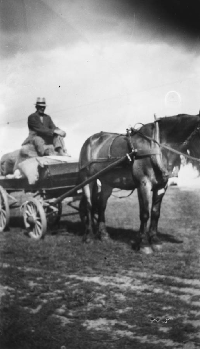 Hans Ruud med hesten Fritjof og postlasset.