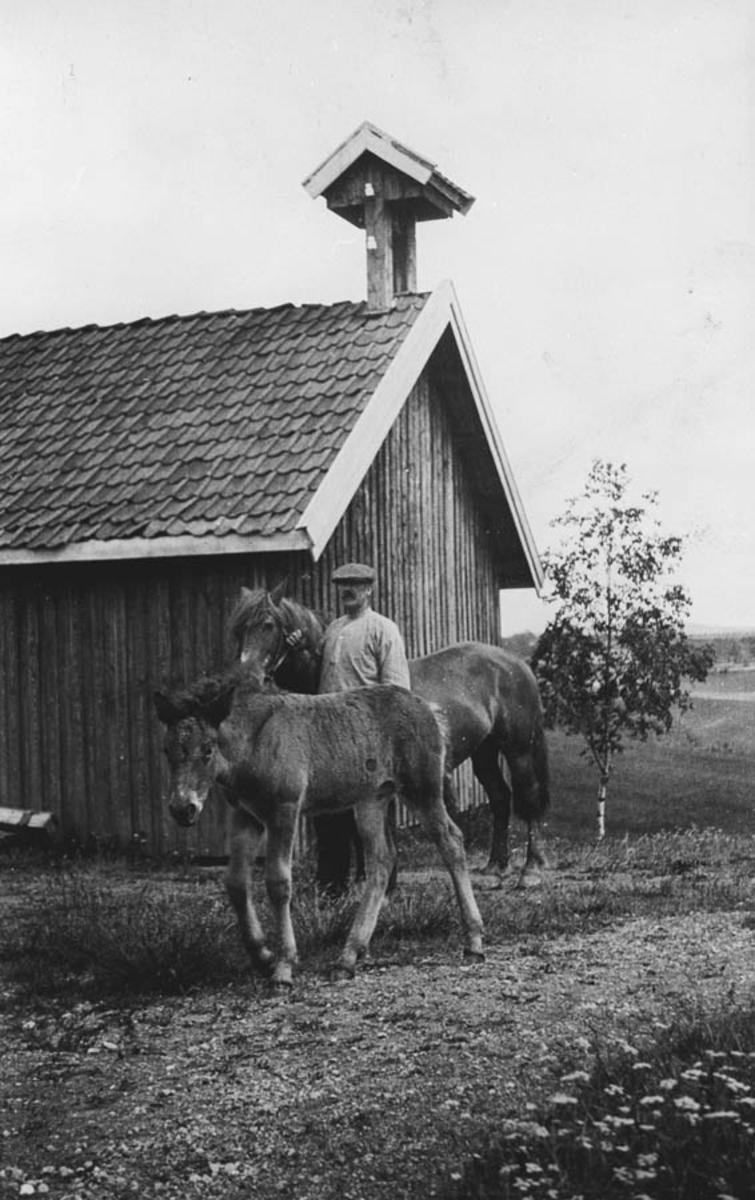 To hester og en mann foran et skjul med klokketårn.