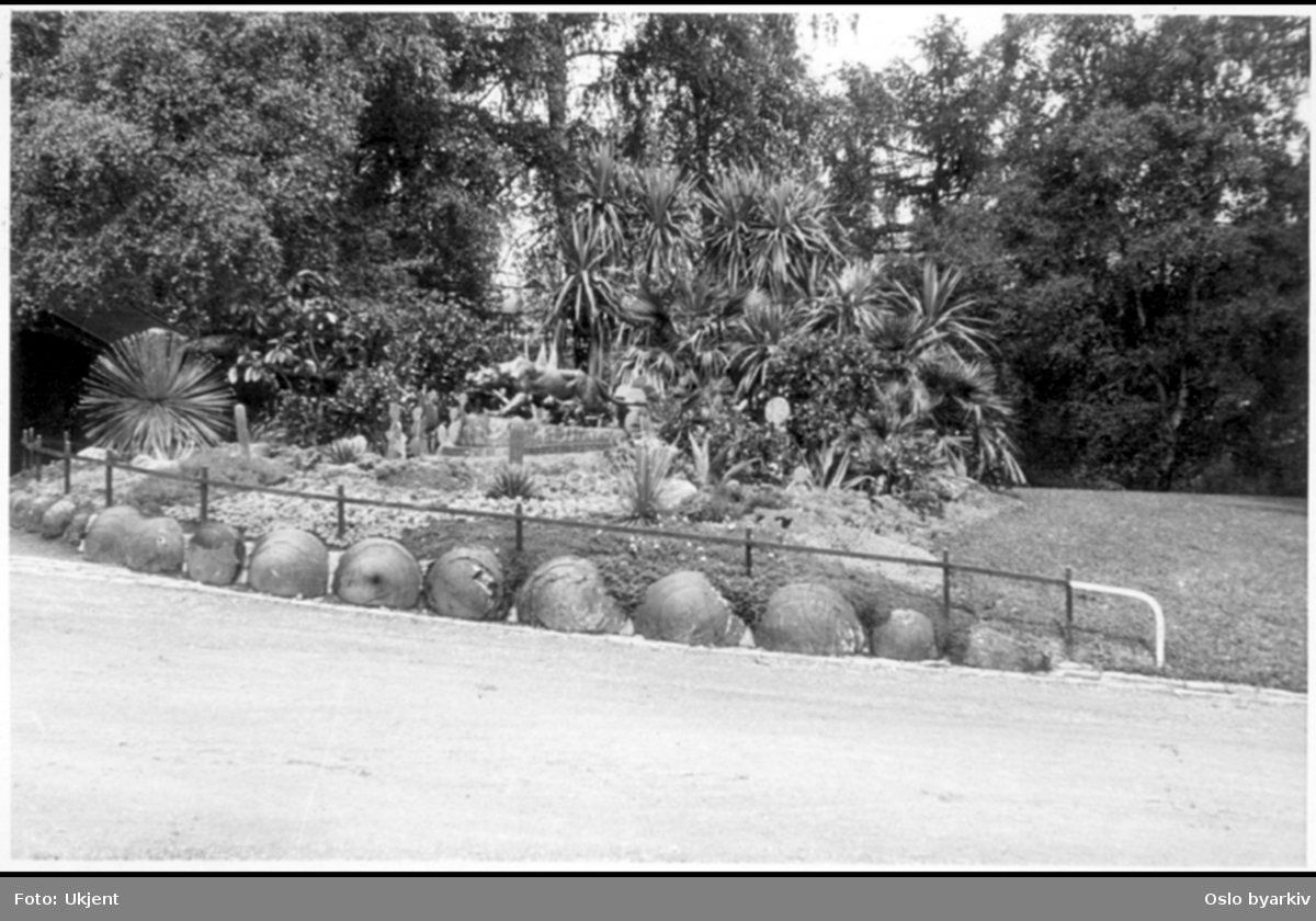Skulptur Løvegruppe plassert nord for bassenget på St. Hanshaugen. Skulpurgruppen ble gitt som gave av ingeniør C.M.Eger. Skulpurgruppen ble oppstit i 1891. Blomsterbed med kaktus og palmer. Sannsynligvis fra 1936.