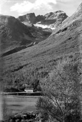 "Øksendal med bjerk"..Garden Bruseth i øvre Øksendal. .(NB: 