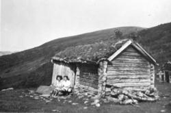 Setrene i Kandalen ?..(Eier: Inger Helene Johnson f. Solemda