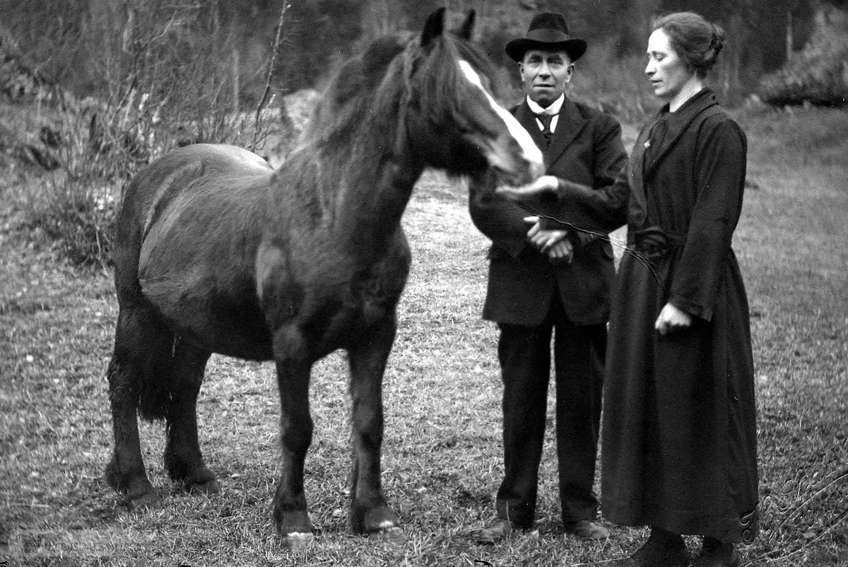 Anders og Serianna Marstein med hesten Blesa.