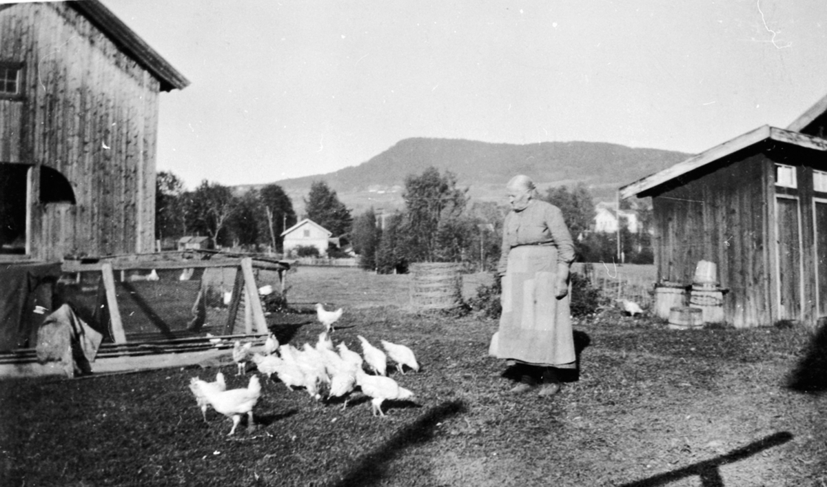 Ingeborg Stordahl med høner på tunet på Aanerud nedre, Veldre, Ringsaker.