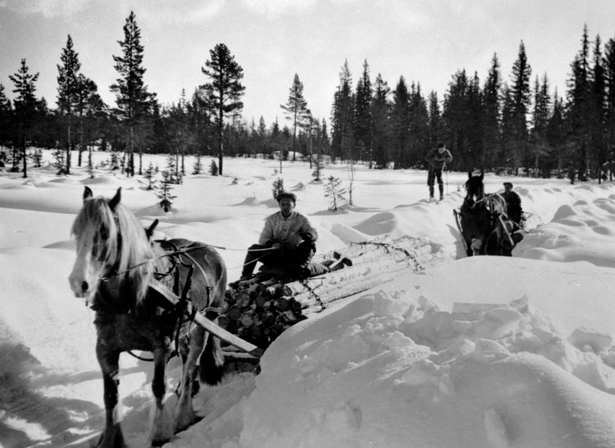 Tømmerkjøring av sliptømmer med hest i Nes Almenning. Den fremste av disse karene er Harald Håkensen, og Syver Bergundhaugen på ski. Den siste er ukjente.