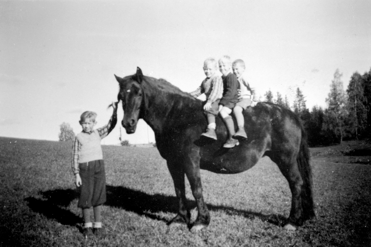 Barn med hesten "Dokka" på Kinnli lille, Ringsaker. Fra venstre er Halvor Amb, Kristian Amb, Otto Knutsen, Kristian Sørlundsengen.