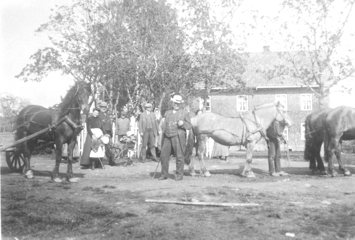 Sjølfolk, arbeidsfolk og hester foran hovedbygningen på Mellom-Kise, Nes, Hedmark.