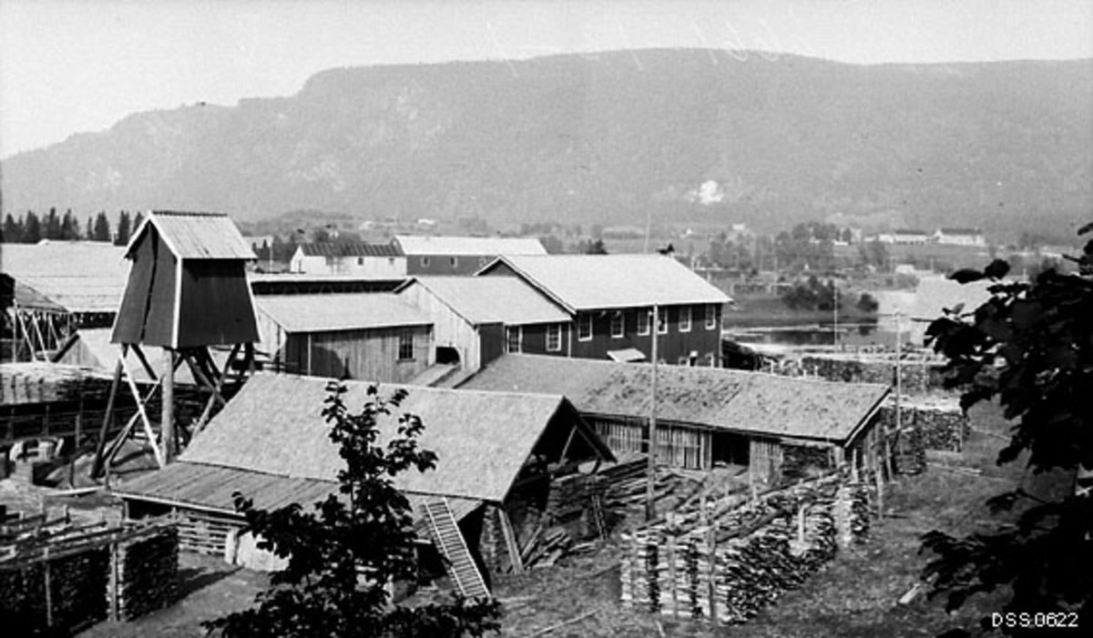 Revelen sagbruk og høvleri i Mo på Helgeland i Nordland, fotografert i 1913.  Bildet viser en del av bygningene på anlegget.  I forgrunnen ser vi også en del vedstabler - antakelig med hunved - under åpen himmel.  Den malte bygningen med vinduer sentralt i bildet er sannsynligvis saghuset.  Bakenfor skimtes bakkekammer med gardstun, og helt i bakgrunnen rager en skogkledd åskam mot himmelen. 

Revelen sag og høvleri ble bygd hovedsakelig med sikte på foredling av tømmerråstoff fra statens skoger langs vassdraget sagbruket var plassert ved, og som tjente som både fløtingsled og kraftkilde for bruket.  Det var skogforvalteren i Helgeland forvaltningsdistrikt som hadde det administrative ansvaret for virksomheten.