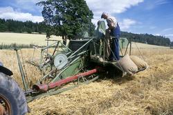 Skuronn. Tidlig utgave av en slepetrøsker i bruk på Nes, Rin