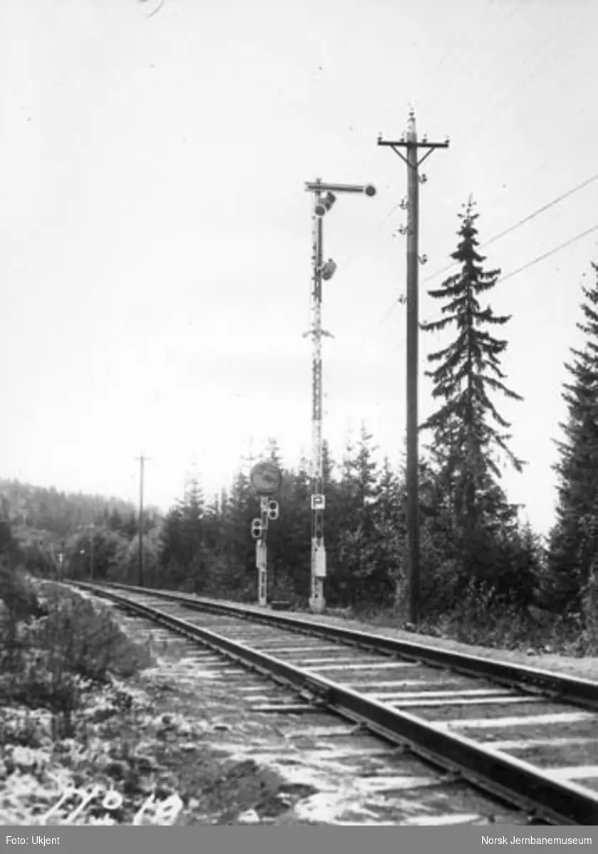 Roa stasjon : semafor innkjørsignal (P), fra Grua, og forsignal