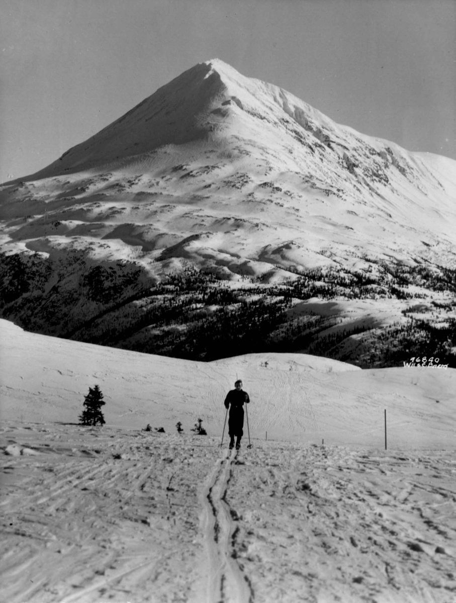 Landskap ved Gaustatoppen med skiløper. Snødekte fjell.