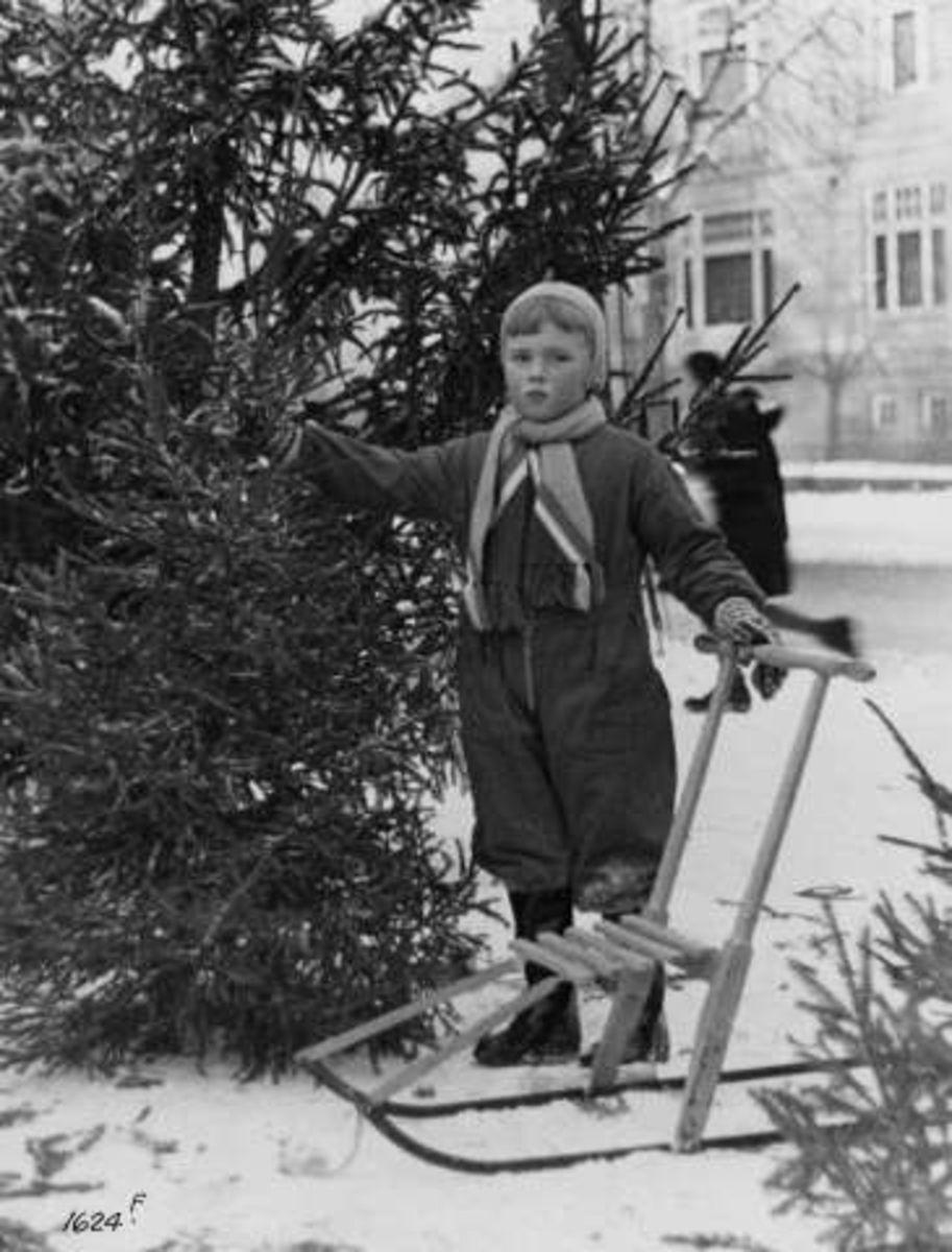 Jul, Oslo 1936. Barn med sparkstøtting foran juletrær
