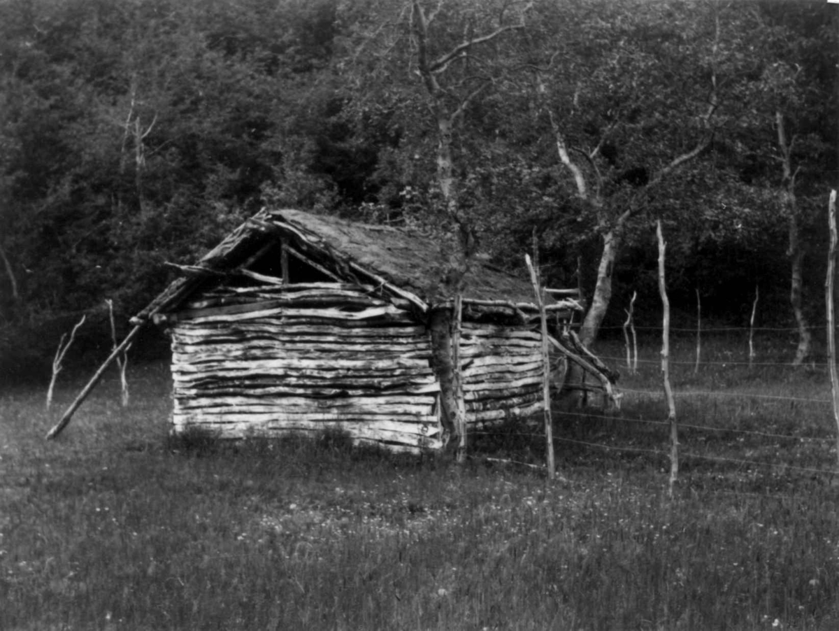 Høyskjå, uthus, bygget mellom to trær, Birtavarre, 1948