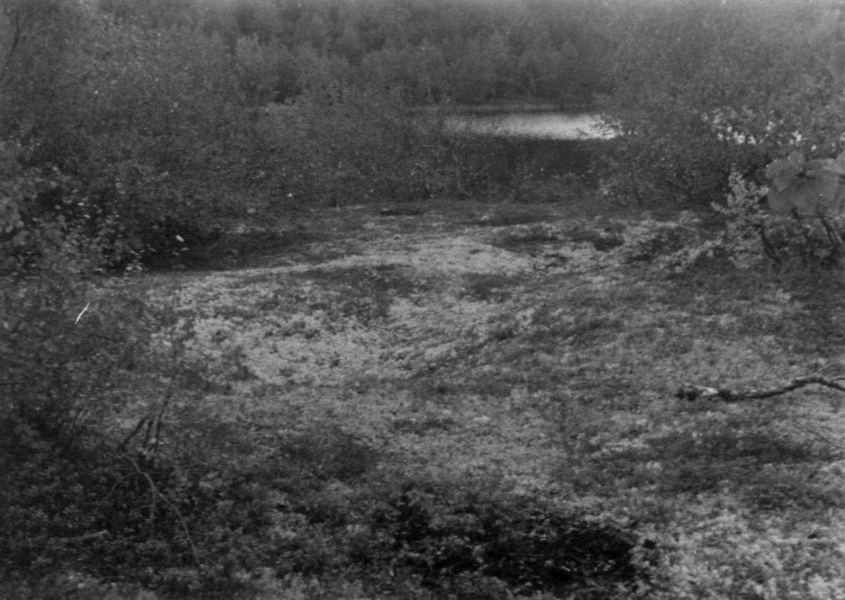 Fangstgroper mellom Vouddasjavrre og Nammajavrre i Kautokeino, Finnmark 1953.