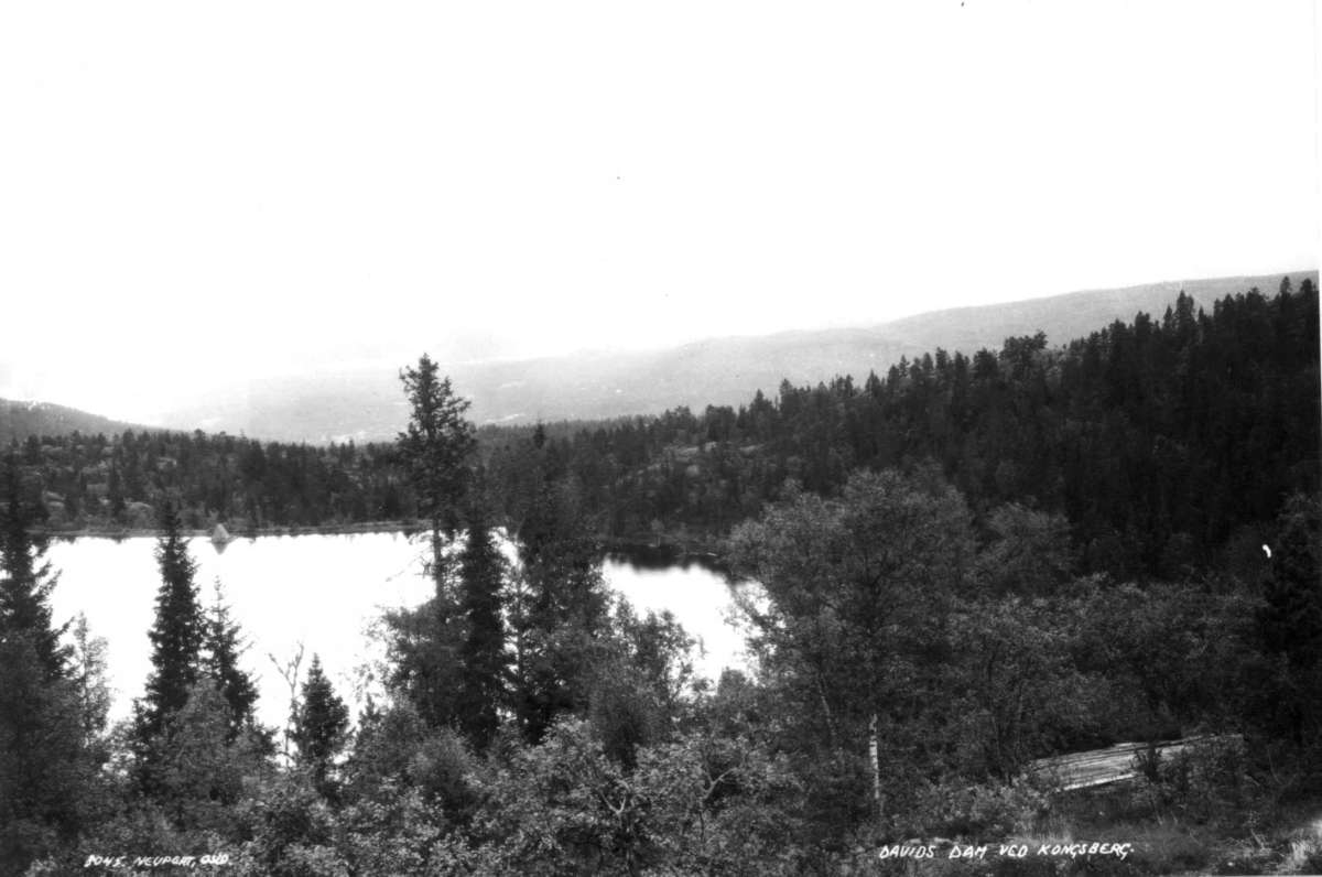 Davids Dam. Kongsberg. 1930. Landskap med skog. Vann. Norsk Folkemuseum / DigitaltMuseum